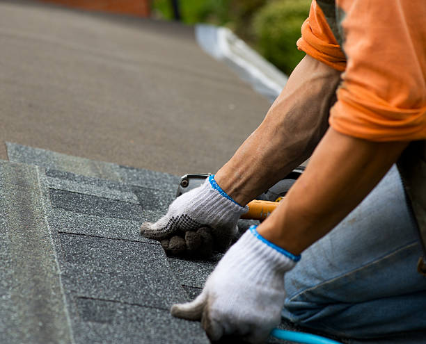 Best Storm Damage Roof Repair  in Penn Estates, PA