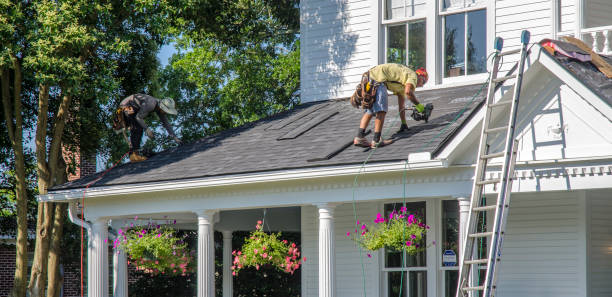 Best Roof Gutter Cleaning  in Penn Estates, PA